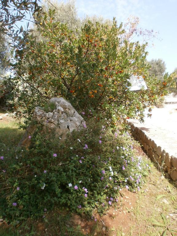 Trullo Villa Giuliana Con Giardino Posizione Panoramica Free Wifi 奥斯图尼 外观 照片