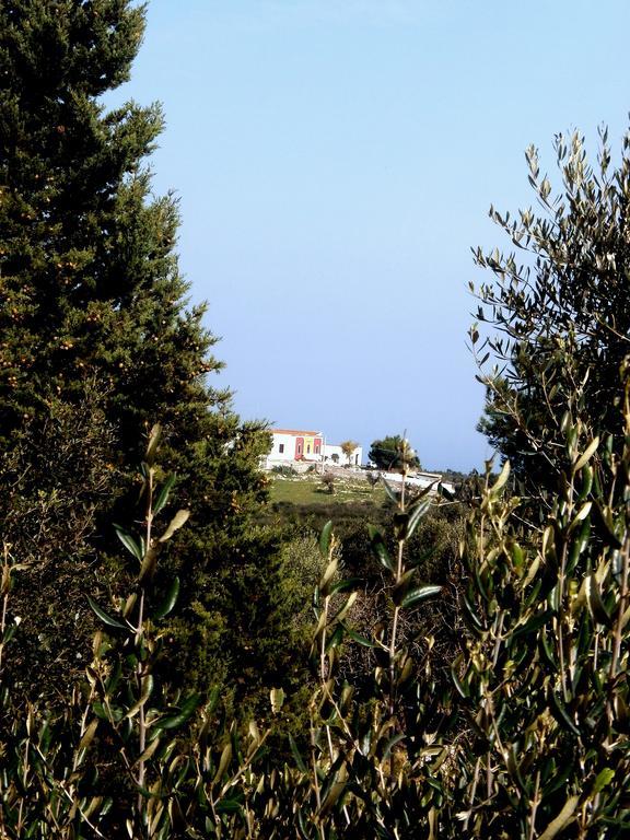 Trullo Villa Giuliana Con Giardino Posizione Panoramica Free Wifi 奥斯图尼 客房 照片
